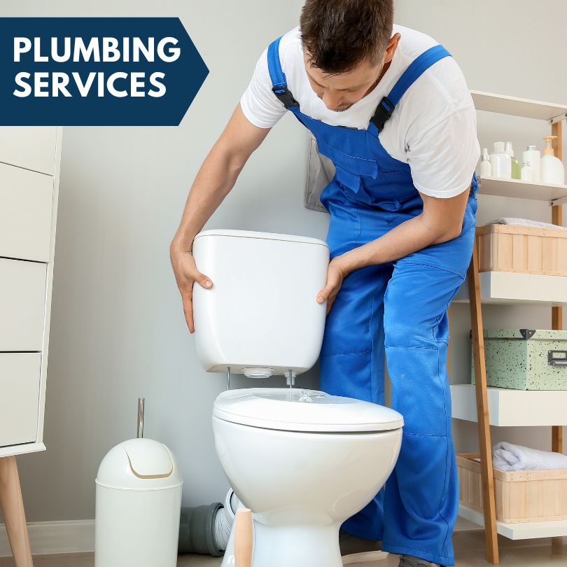 Plumbing Company in Alanson, MI